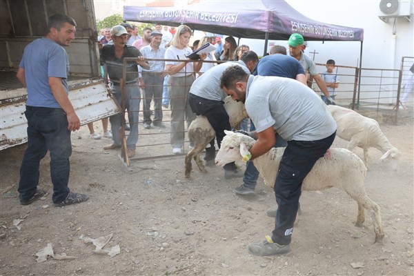 Büyükşehirden küçük çiftçiye yönelik destek<