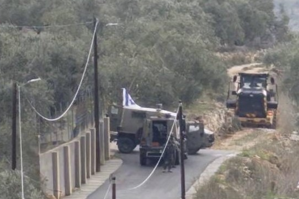 İsrail güçleri Ramallah'ın kuzeyinde zeytin ağaçlarını kökünden söktü<