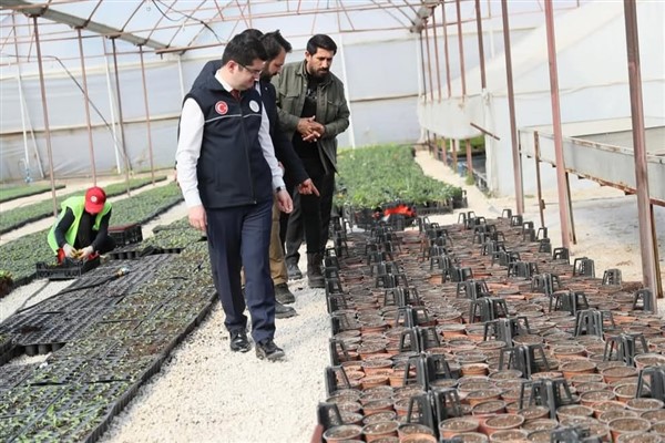 Mardin Büyükşehir Belediyesi Genel Sekreter Eroğlu, belediye fidanlığında inceledi<