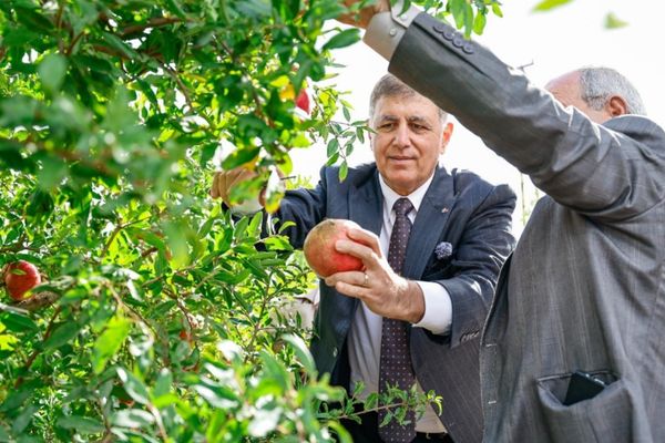 İzmir’de Tarım Master Planı ile kırsal kalkınma hedefleniyor<