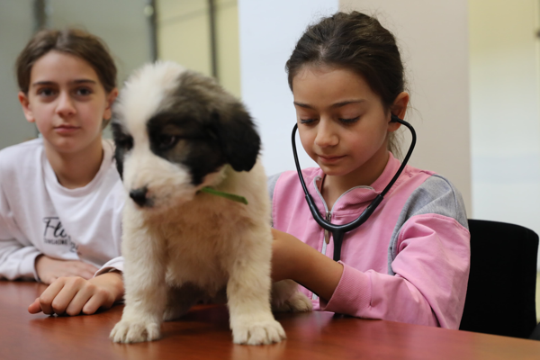 Bursa'da Bir Günlüğüne Veteriner Hekim Oluyorum” etkinliği 