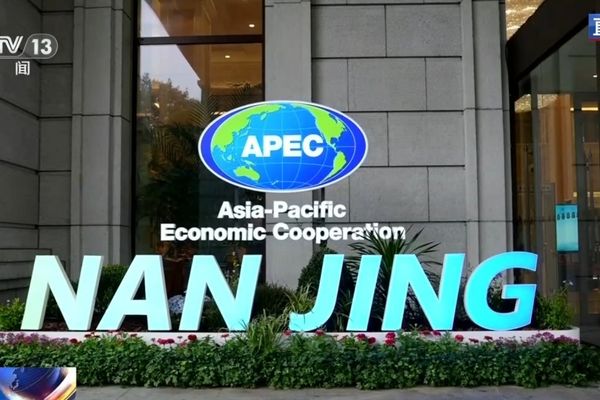 8. APEC İnsan Kaynakları Gelişim Bakanlar Toplantısı Nanjing'de başladı<