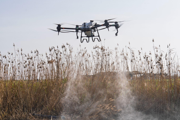 İzmir'de sivrisinek ve zararlılara karşı yeni model<