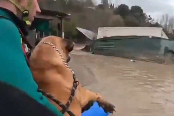 Portekiz'de sellerde binlerce kişi tahliye edildi, yol çöktü, içişleri bakanı istifa etti<