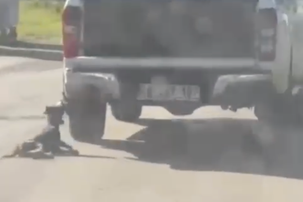 Milas’ta köpek sürükleme görüntüleri sonrası 2 kişi gözlaltında