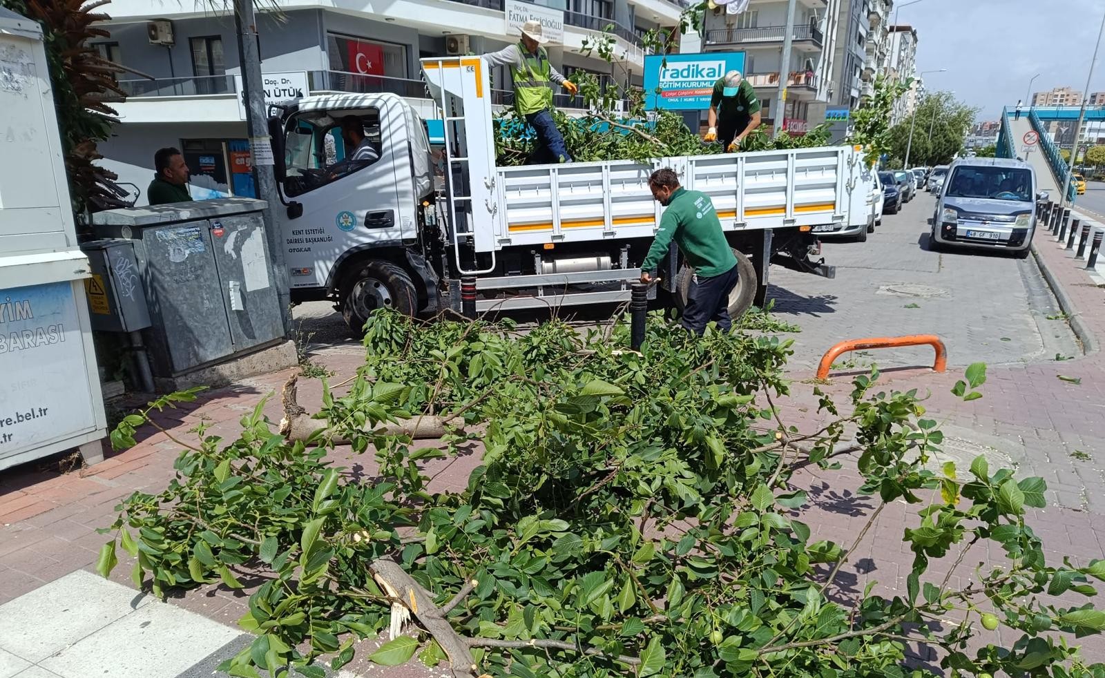 Manisa'da fırtınanın zarar verdiği ağaçlar kaldırıldı