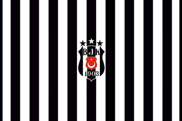 Beşiktaş Yönetim Kurulu’nda görev dağılımı yapıldı<