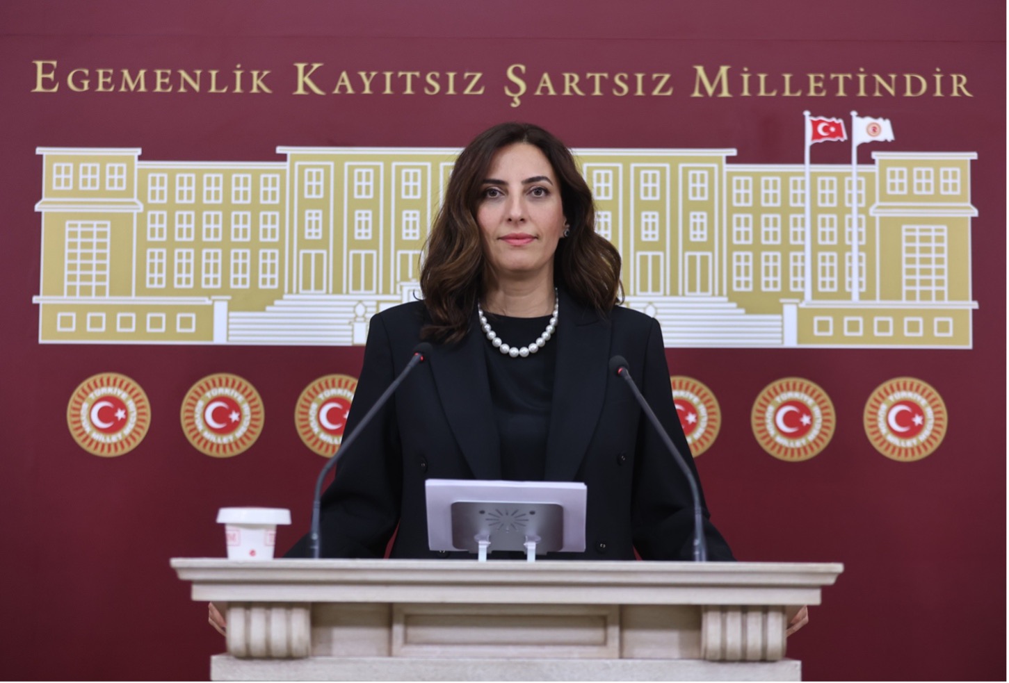 DEVA Partili İstanbul Milletvekili Rızvanoğlu’ndan orman yangınlarına tepki<