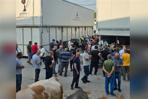 İzmir Büyükşehir Belediyesi'nden kurban kesim hizmeti <