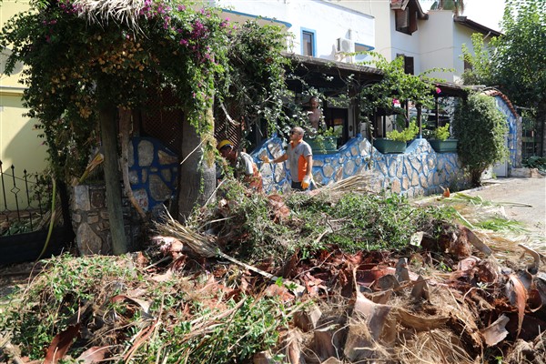 Marmaris Belediyesi, ağaçlarda budama ve güvenlik çalışmaları yapıyor<