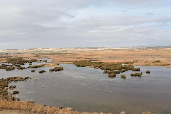 Eskişehir'de doğaya ve geleceğe yönelik etkinlik<