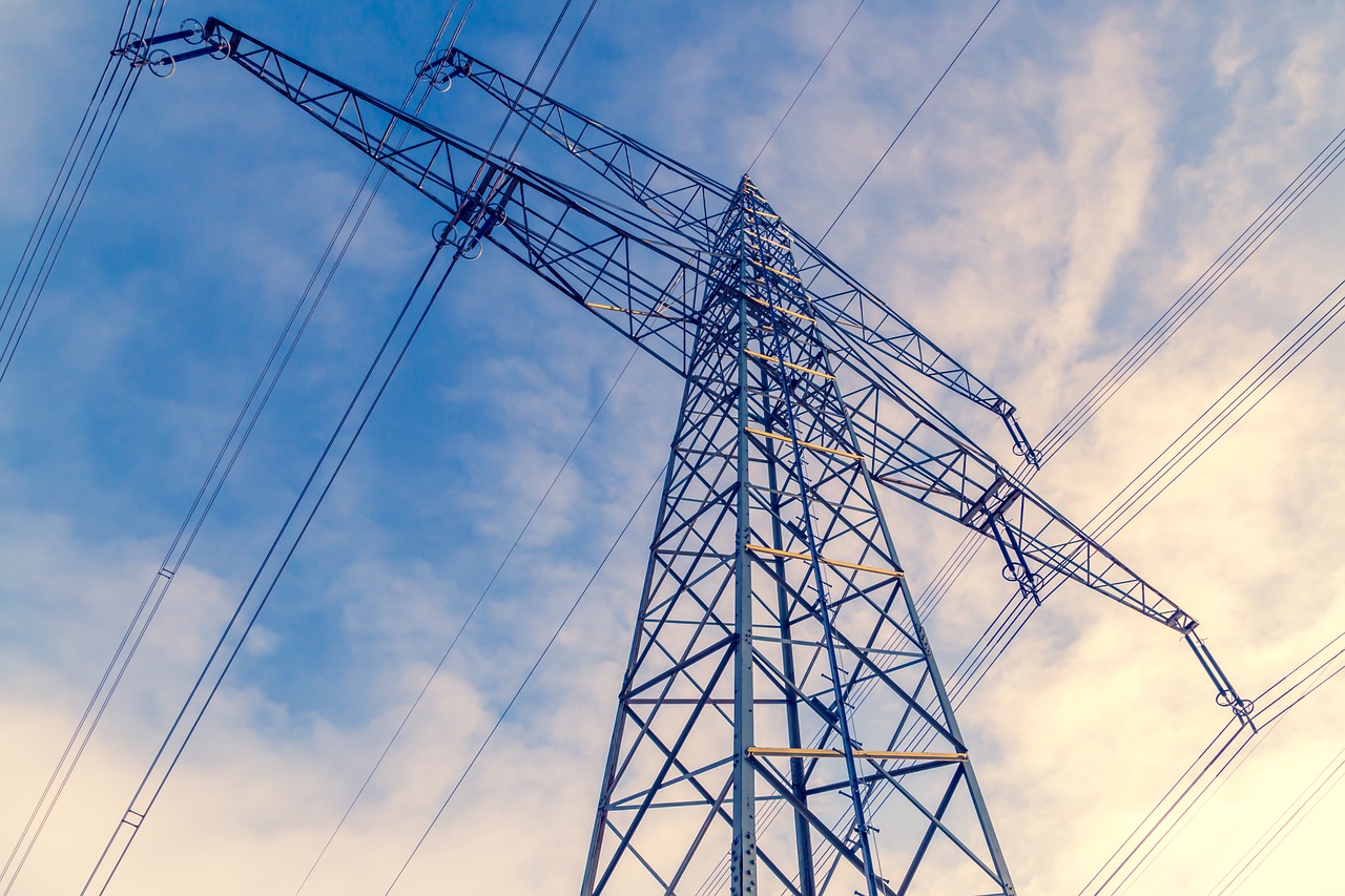 TEDAŞ 2024 yılı Türkiye Elektrik Dağıtım Sektörü Raporu yayımlandı