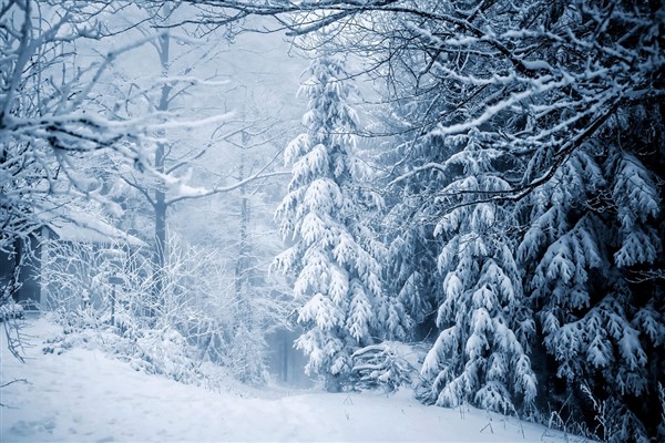Meteoroloji'den kar erimesi uyarısı