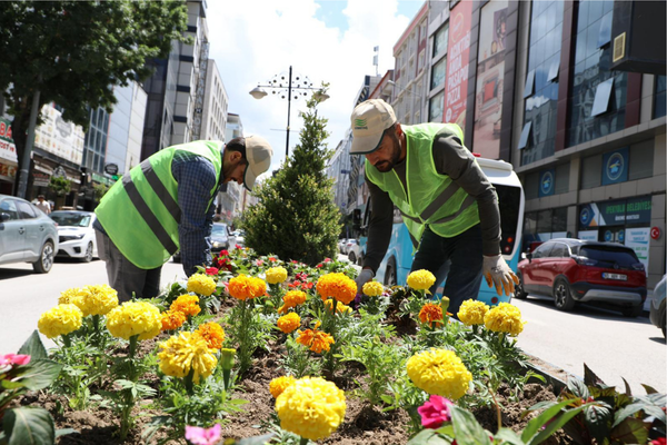 Van'da refüjlere 17 bin mevsimlik çiçek dikildi