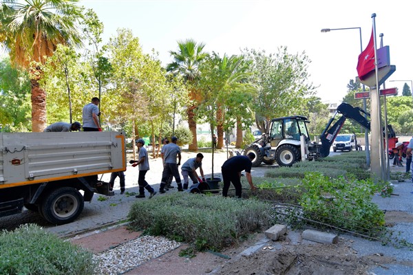 Bornova'da Cumhuriyet Meydanı'na sakura ve tarçın ağaçları dikildi<