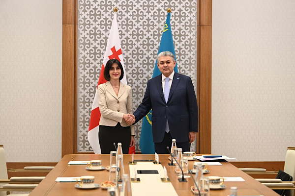 Koşerbayev, Gürcistanlı mevkidaşı Bochorishvili ile görüştü<