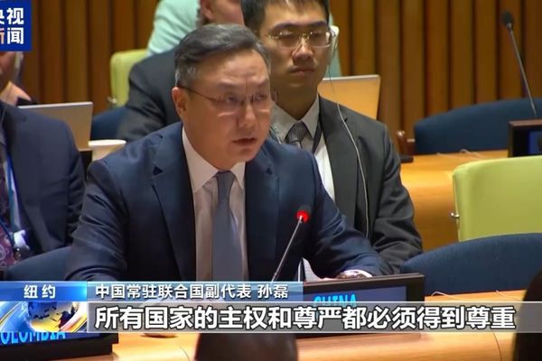 Sun Lei: Egemen eşitlik, modern uluslararası ilişkilerin temel taşıdır<