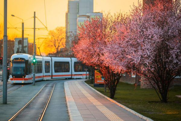 Eskişehir'de tramvaylarda yaz tarifesi başlıyor<