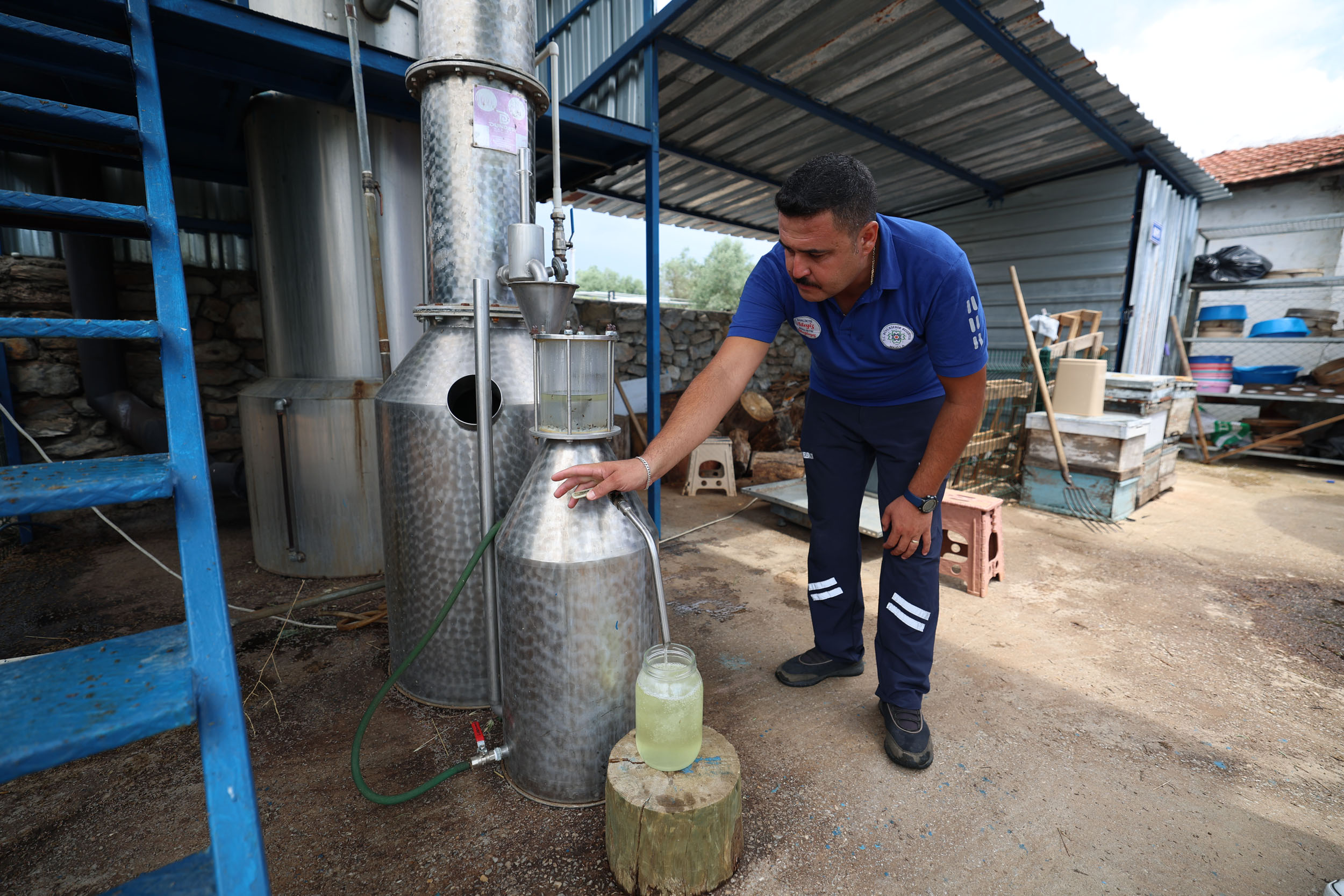 Muğla'da 32 tür tıbbi-aromatik bitkinin distilasyonu yapıldı<