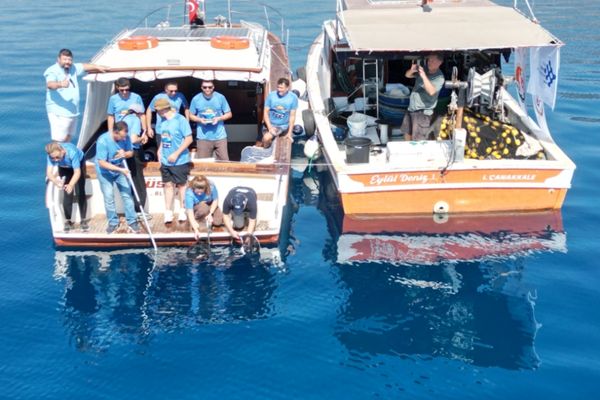 Eskişehir’de yetiştirilen 13 köpek balığı doğaya bırakıldı<