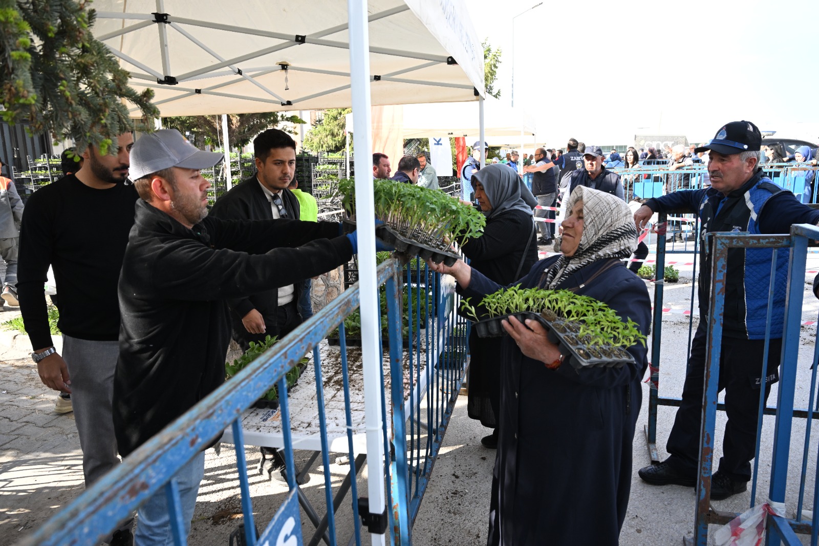 Kırşehir'de ücretsiz fidan dağıtımına başlandı<