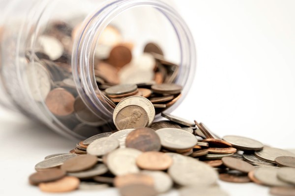 Selva Gıda'nın faaliyet raporu