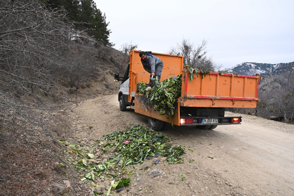 Isparta'da yaban hayvanları için atık yiyecekler ayrıştırılıyor