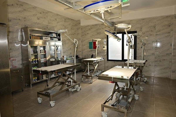 Şehzadeler’deki hayvan barınma alanı kapatılıyor