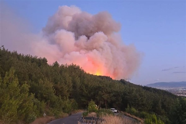 Dörtyol’da orman yangını devam ediyor<