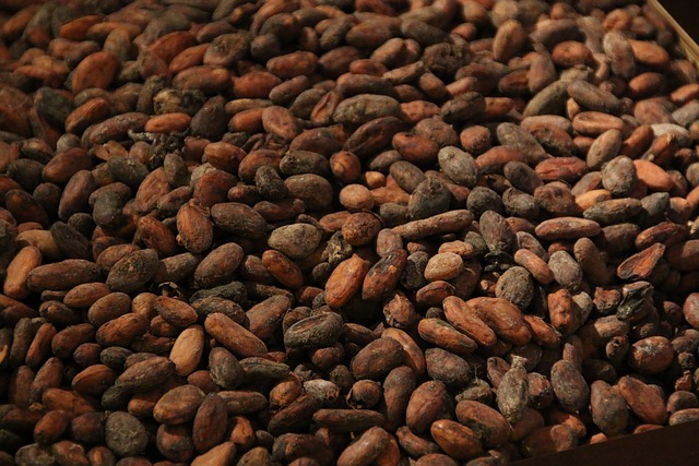 Kakao fiyatları bu yıl yüzde 135 artışla ton başına 10.000 doları aştı