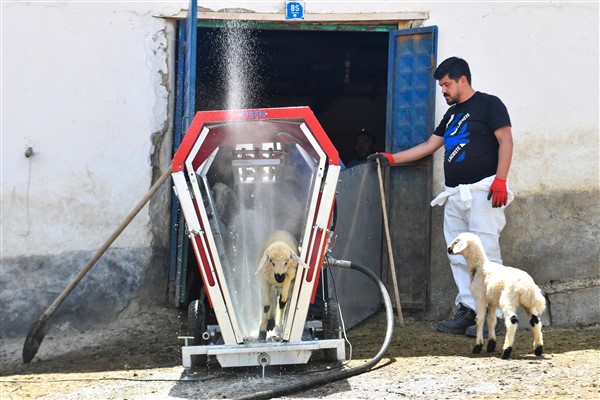 ABB’den hayvan üreticilerine “küçükbaş hayvan yıkama makinesi” desteği <