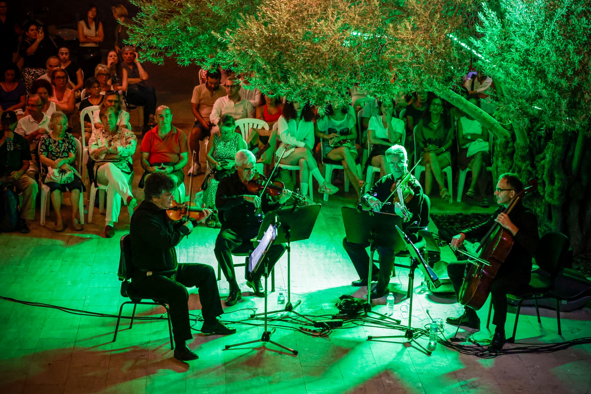Somogyi Quartet, Zeytin Altında konserlerinde İzmirlilerle buluştu