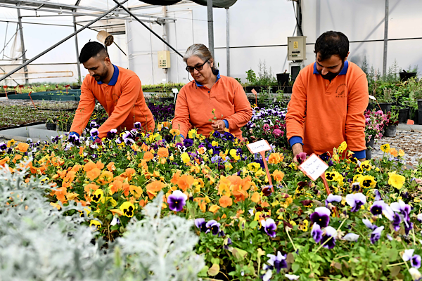 Muratpaşa'da bitki üretim tesisi ile sürdürülebilir üretim yapılıyor<