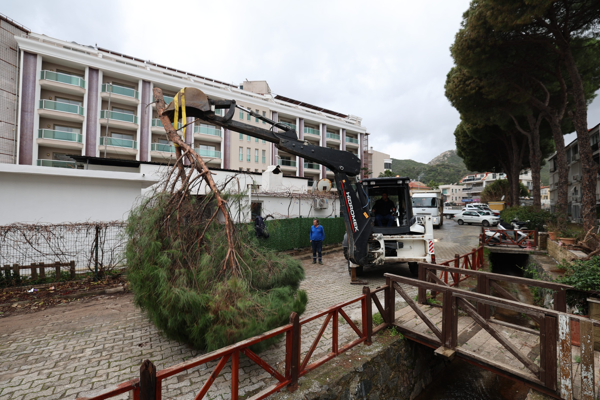Marmaris’te devrilen 220 ağaca müdahale edildi