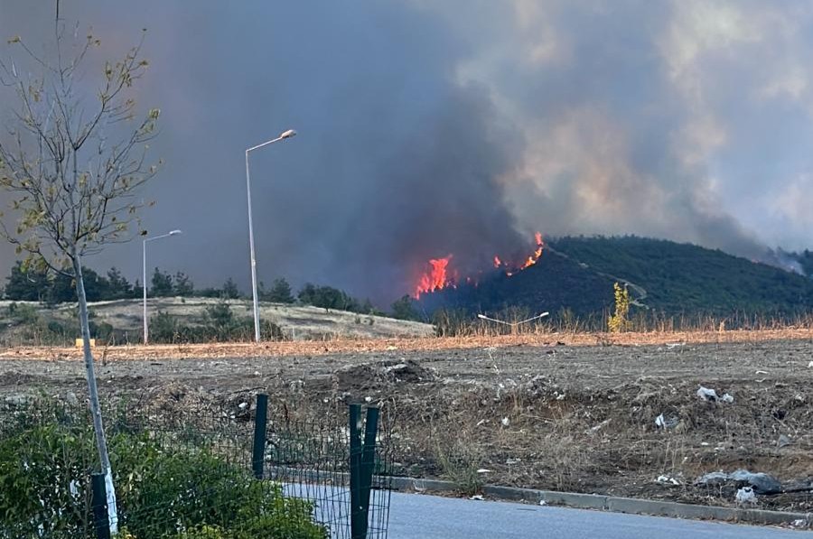 Bursa’nın Gürsu ilçesinde yangın çıktı<