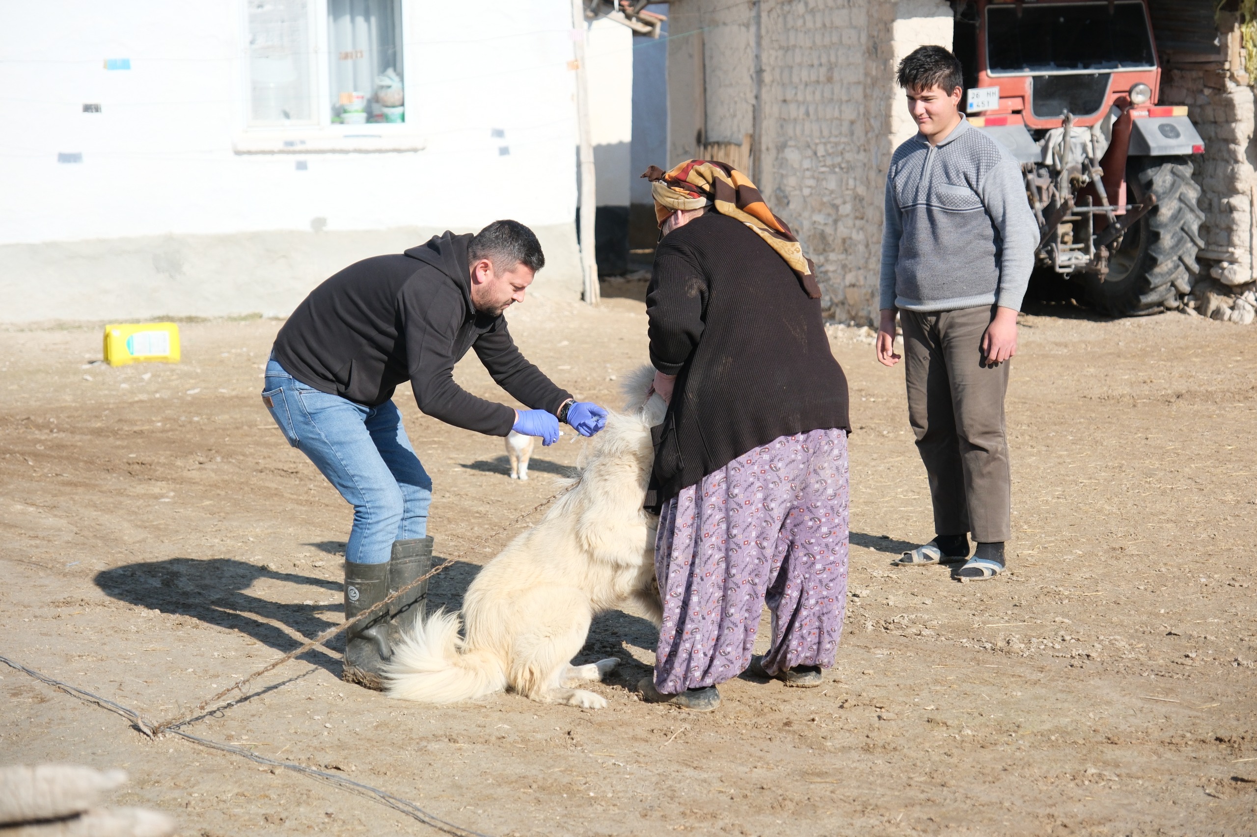 Eskişehir'de çoban ve bekçi köpekleri için çalışmalar devam ediyor