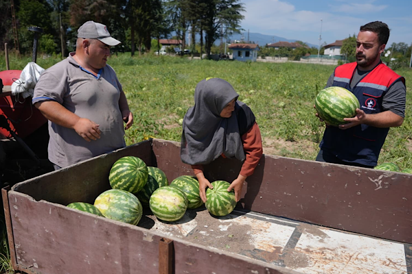 Düzce Tarım Akademisi’nde üretilen karpuzlar ihtiyaç sahiplerine ulaştırıldı<