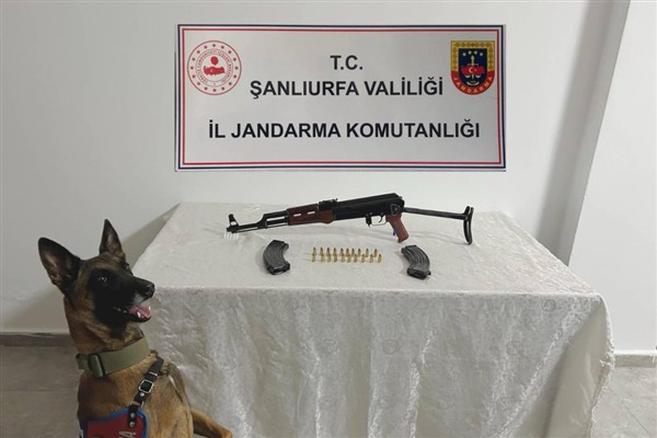 Siverek’te ruhsatsız silah operasyonu <