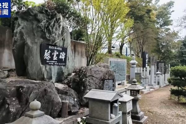CGTN anketi: Yasukuni Tapınağı, savaş suçlularının anıldığı bir yerdir<