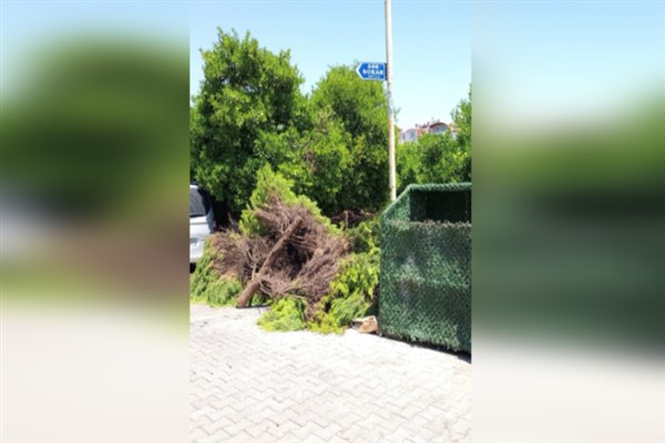 Marmaris Belediyesi’nden ücretsiz çevre hizmeti<