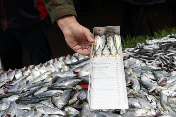 Maltepe’de balık denetimi<