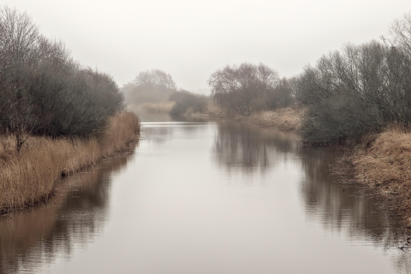 Göksu Nehri’ni kirleten tesise 1 milyon 337 bin TL ceza 