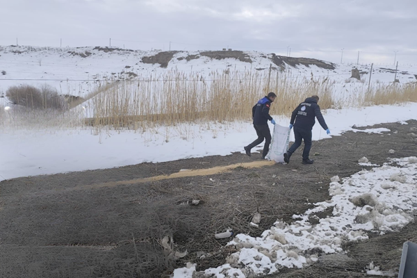 Van Büyükşehir Belediyesi’nden yaban hayatına yem desteği