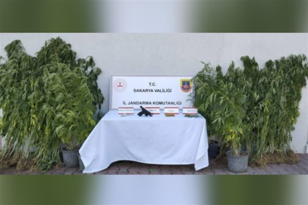 Sakarya'da uyuşturucu operasyonu: 1 tutuklama