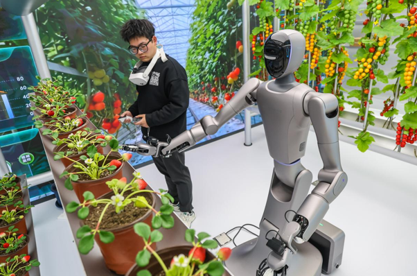 Çin, yeni teknoloji ekosistemiyle küresel ekonomiye güç katıyor<