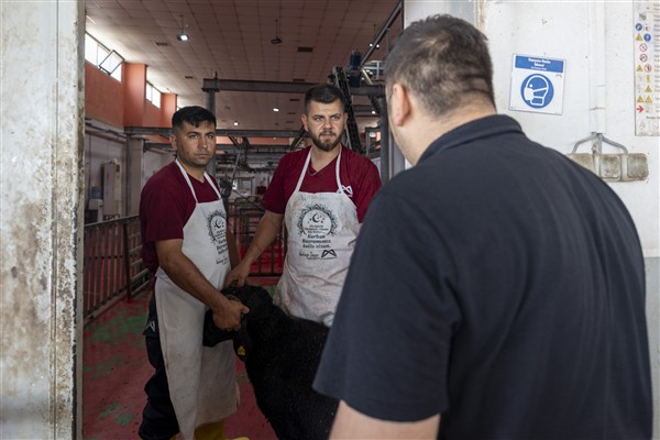 Mersin Büyükşehir Belediyesi’nden ücretsiz kurban kesim hizmeti <
