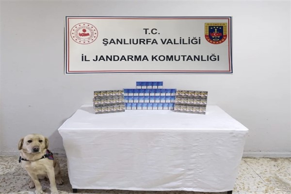 Şanlıurfa’da kaçakçılık operasyonu 