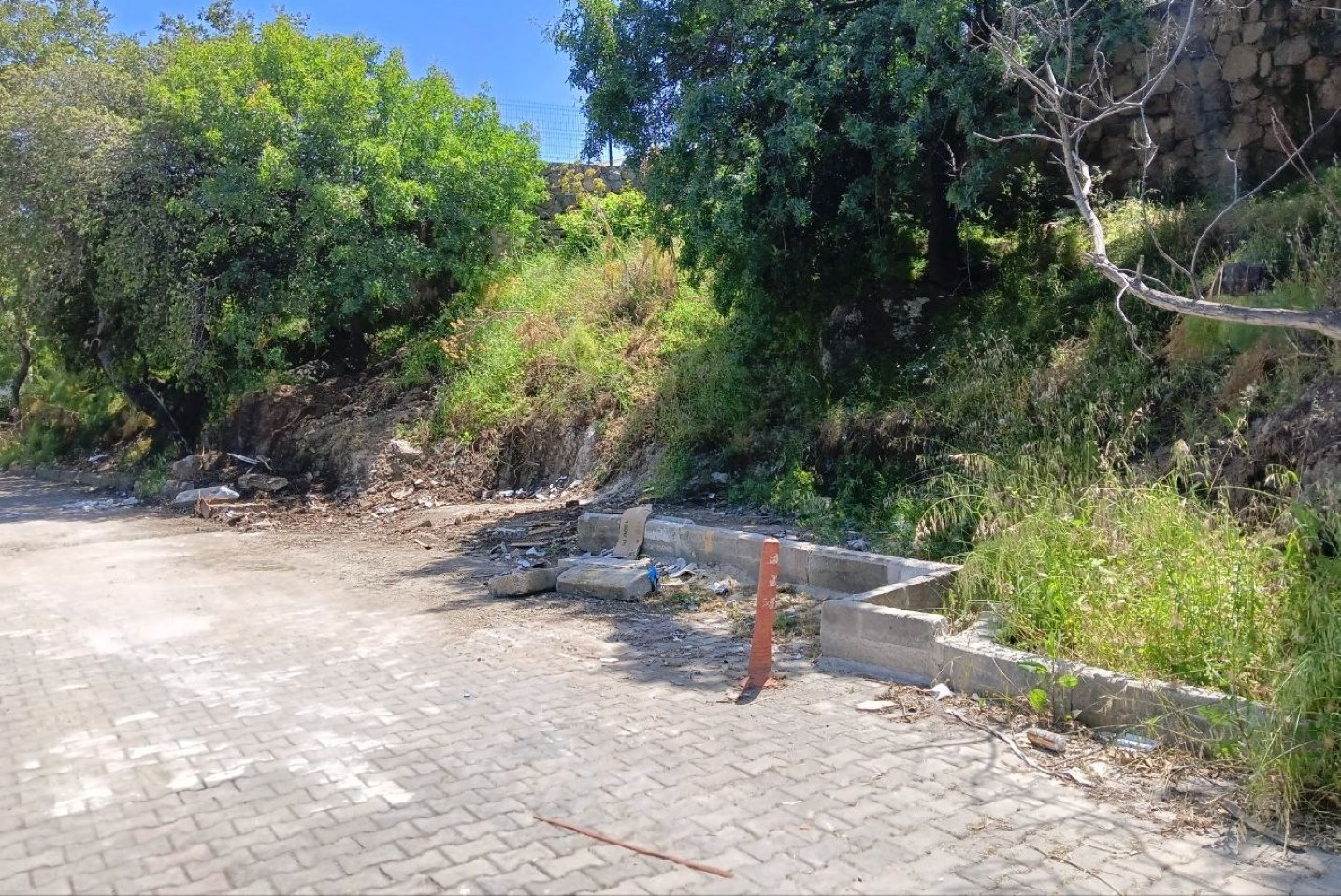 Bodrum Belediyesi'nden çevreyi kirletenlere 260 bin lira cezai işlem
