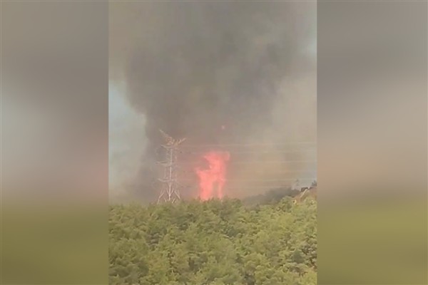 Hatay’daki orman yangınına müdahale sürüyor 