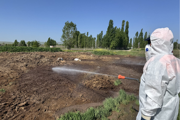 Çorum'da vektörel mücadele ve temizlik çalışması yapıldı<